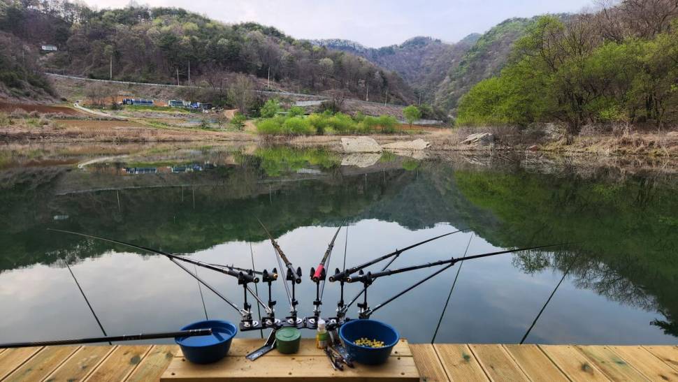 충주호 사오리낚시터에서 시작합니다 (조황조행기 - 모바일간편조행)