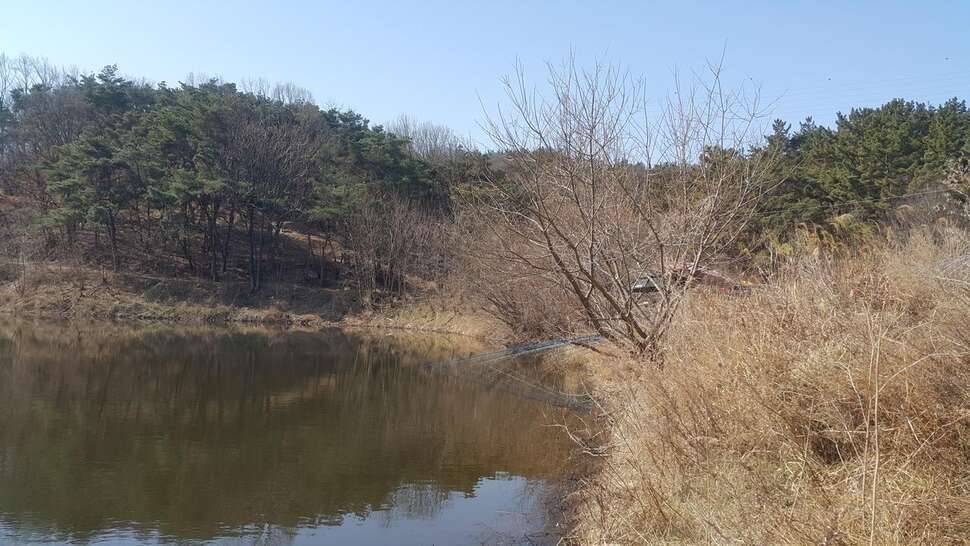 언제쯤 (조황조행기 - 모바일간편조행)