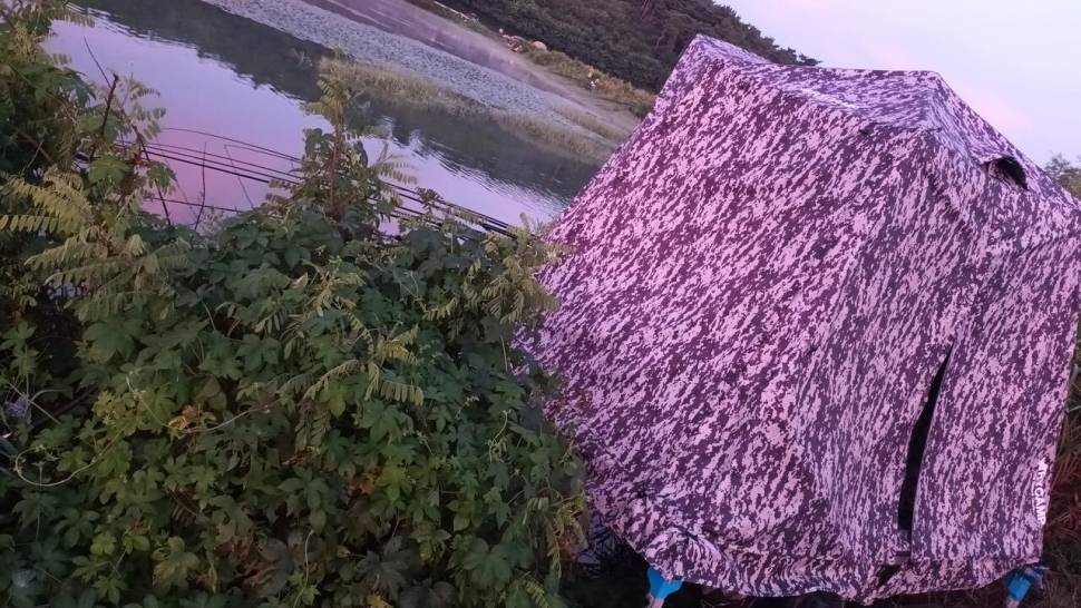서산중형저수지 (조황조행기 - 모바일간편조행)
