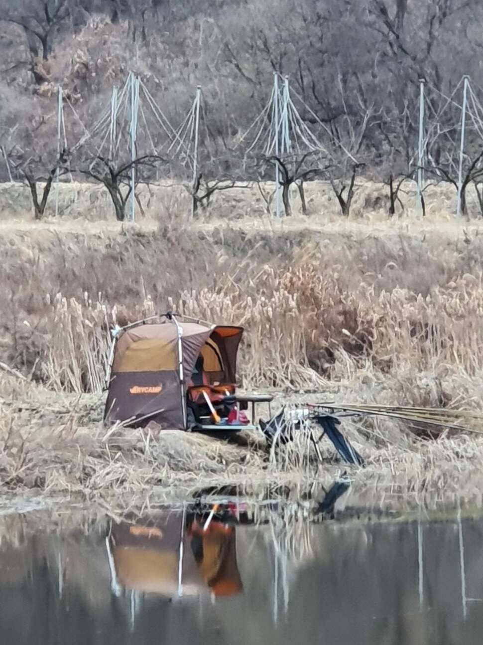 이늠의 코로나 진짜 (조황조행기 - 모바일간편조행)