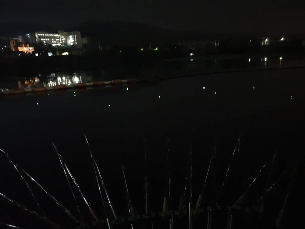 캠낚 (조황조행기 - 모바일간편조행)