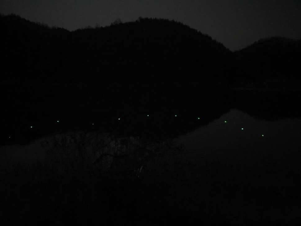 어김없이 오늘도 렛잇고 (조황조행기 - 모바일간편조행)