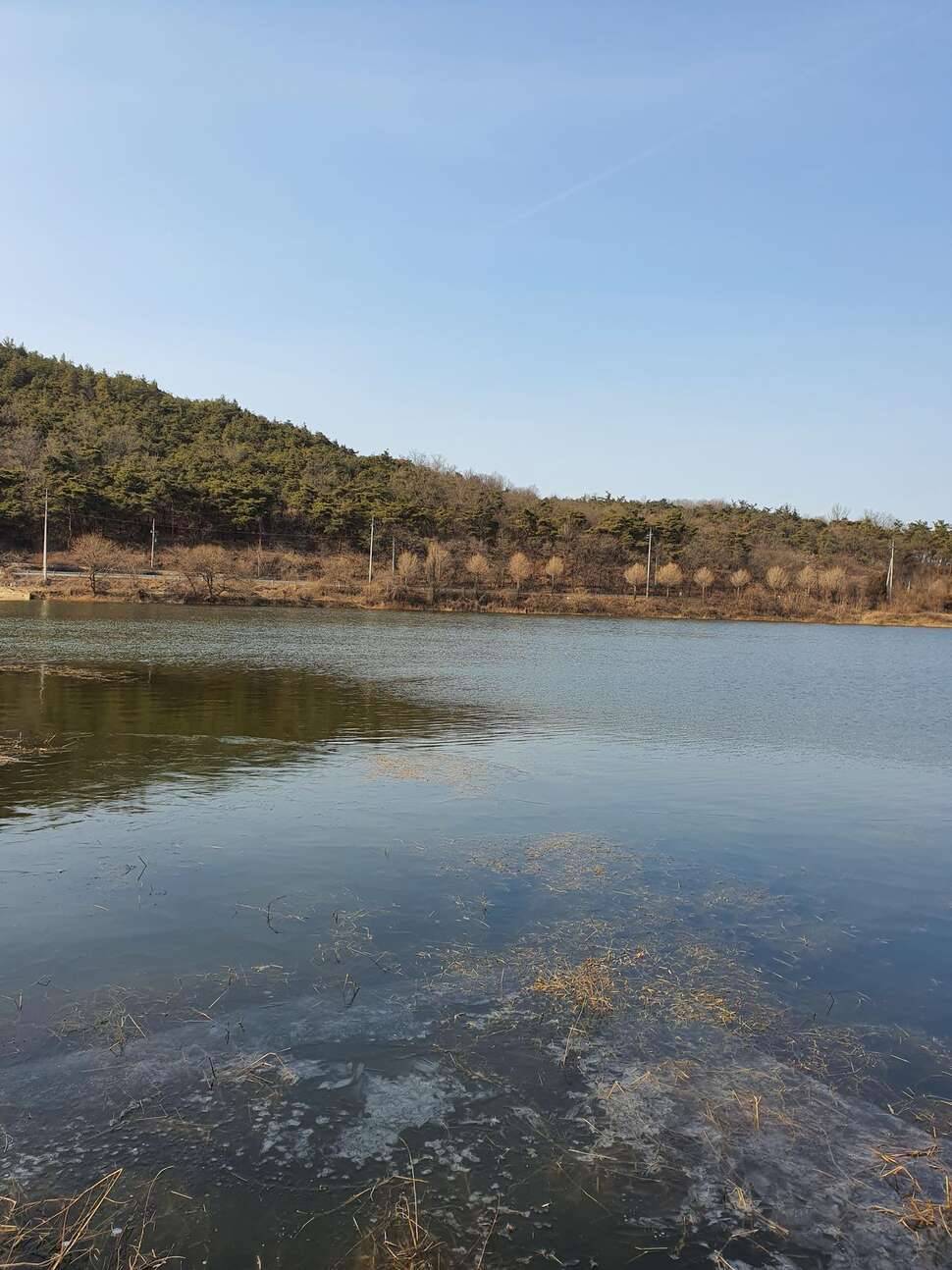 어김없이 오늘도 렛잇고 (조황조행기 - 모바일간편조행)