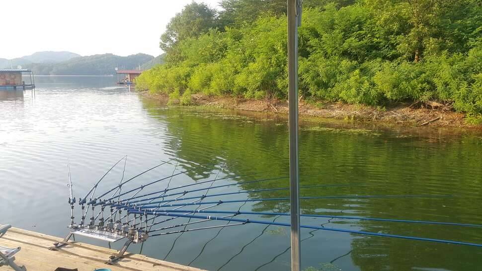 충북 진천 초평지의 어느좌대 (조황조행기 - 모바일간편조행)
