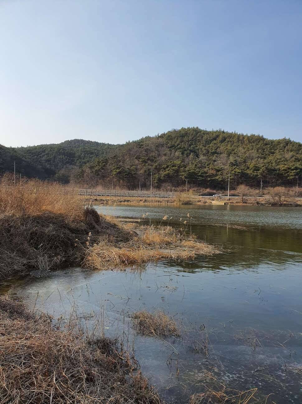 어김없이 오늘도 렛잇고 (조황조행기 - 모바일간편조행)