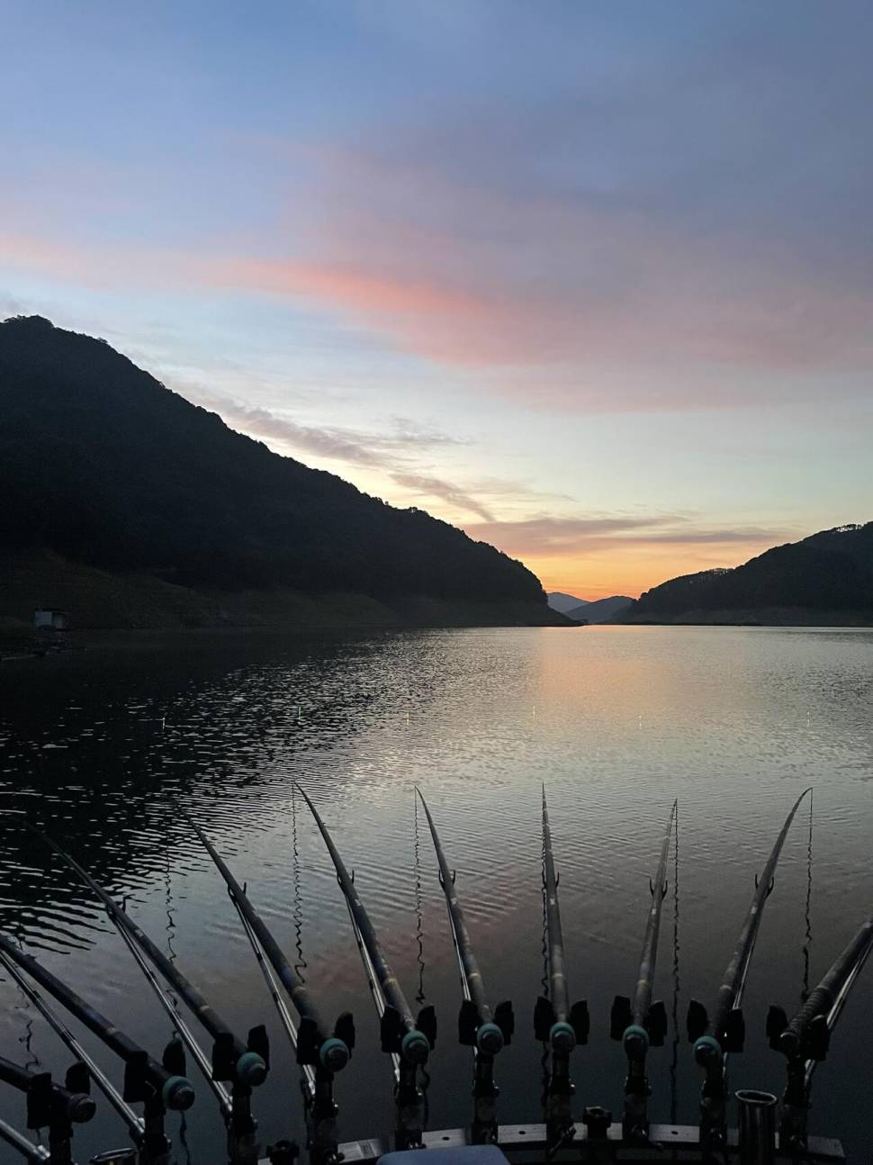 충주호 목벌낚시터 (조황조행기 - 모바일간편조행)