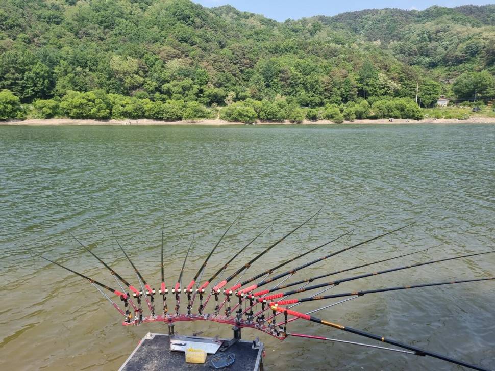 한방터 조행 (조황조행기 - 모바일간편조행)