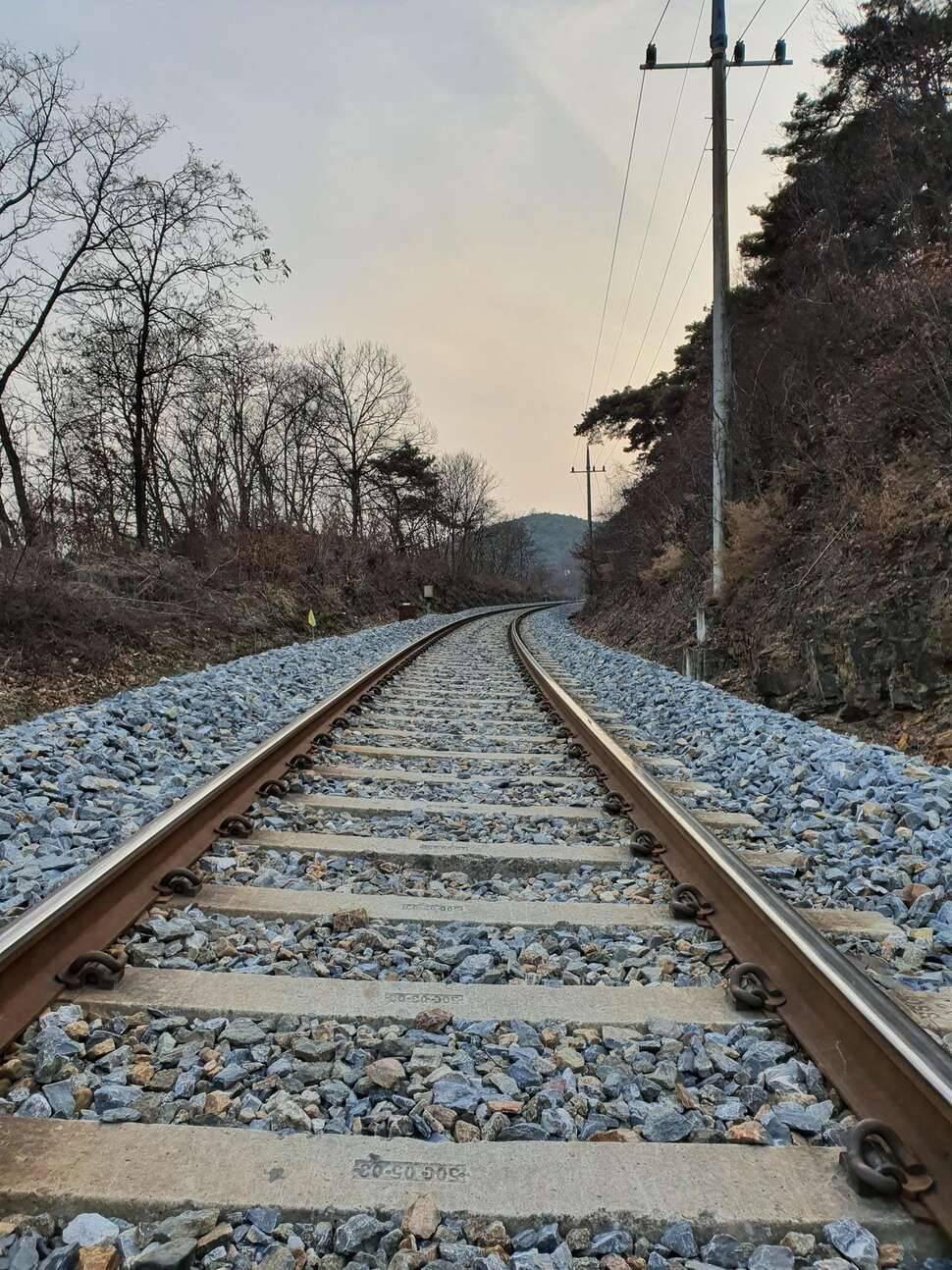 어김없이 오늘도 렛잇고 (조황조행기 - 모바일간편조행)