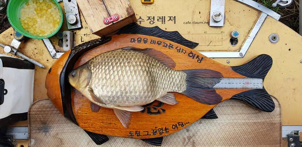 장흥군 목단지 나오면 4짜 4짜 25수를 만나다 (조황조행기 - 모바일간편조행)