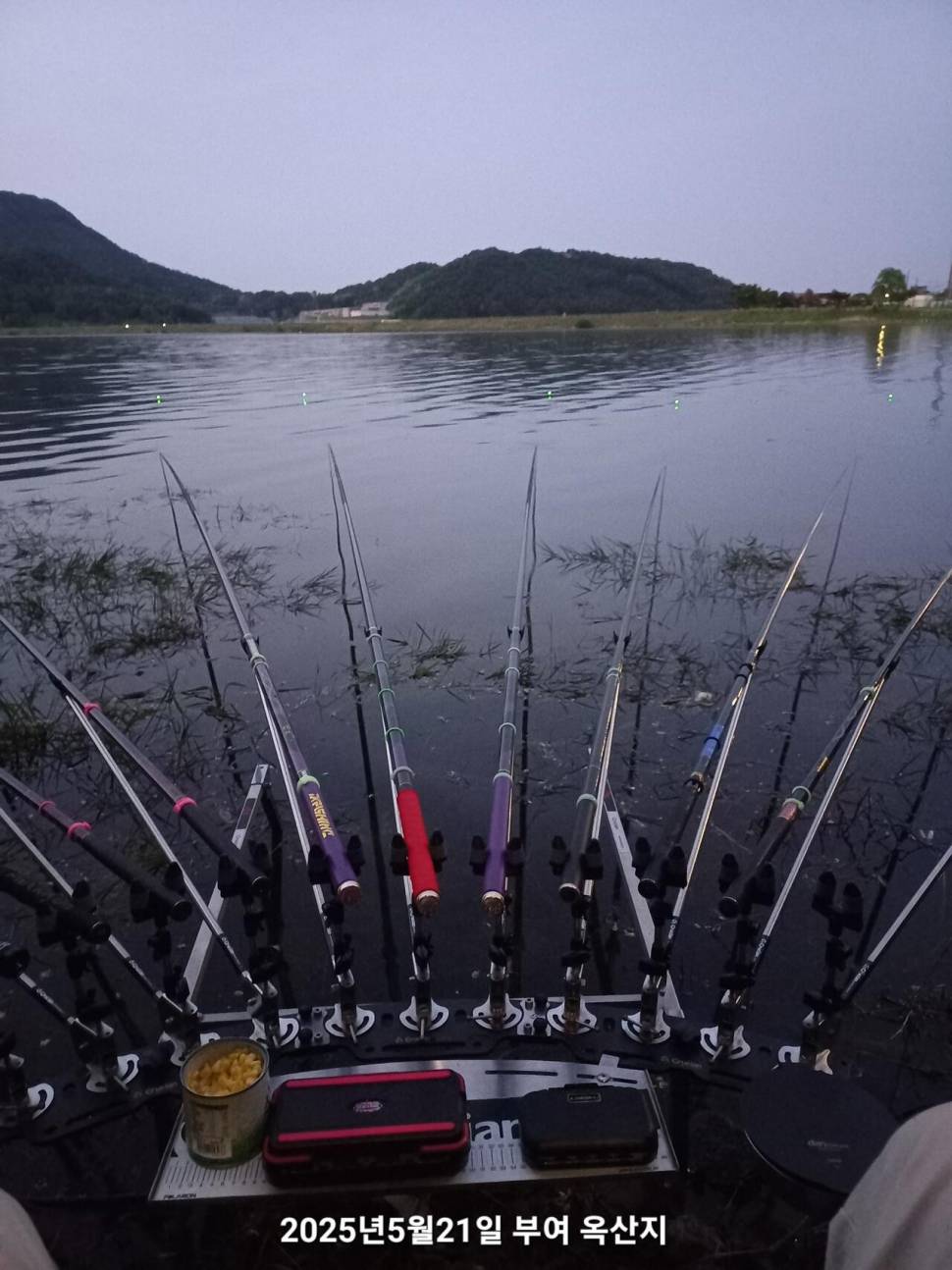 부여 옥산지에서 하루밤 (조황조행기 - 모바일간편조행)
