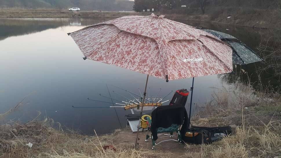 언제쯤 (조황조행기 - 모바일간편조행)