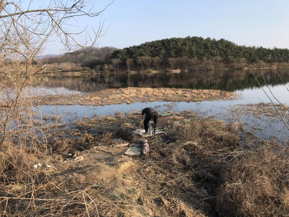 창녕 (조황조행기 - 모바일간편조행)
