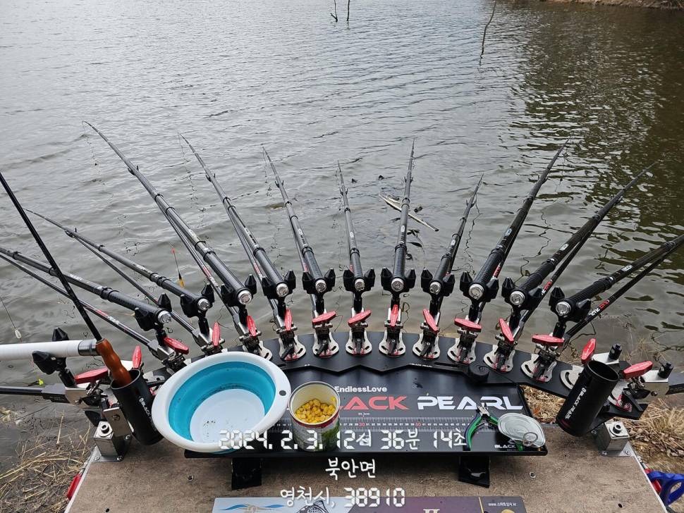 24년 첫 낚시 스타트 (조황조행기 - 모바일간편조행)