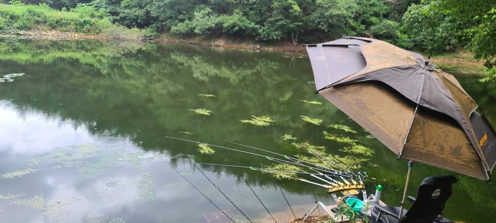 경산 소류지 독조 하고 있습니다 (조황조행기 - 모바일간편조행)