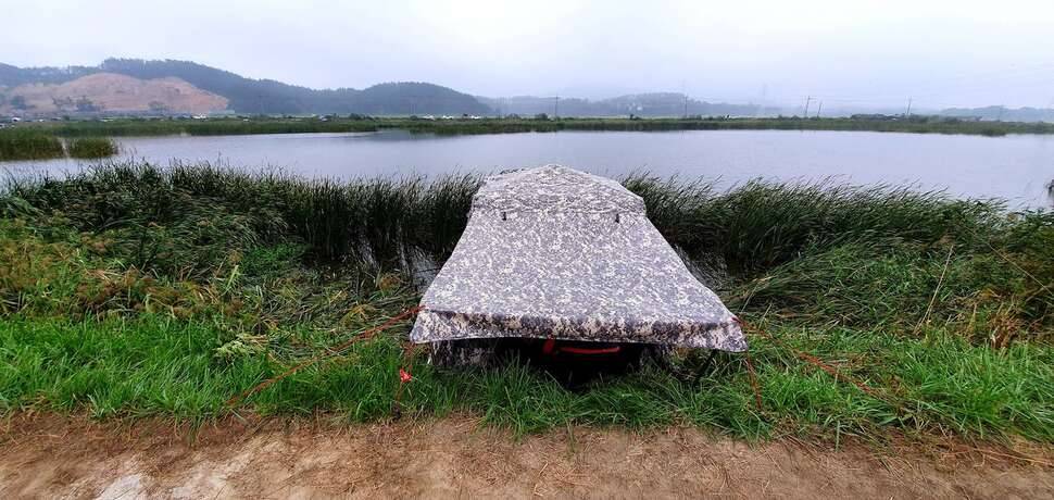 솔감지 (조황조행기 - 모바일간편조행)