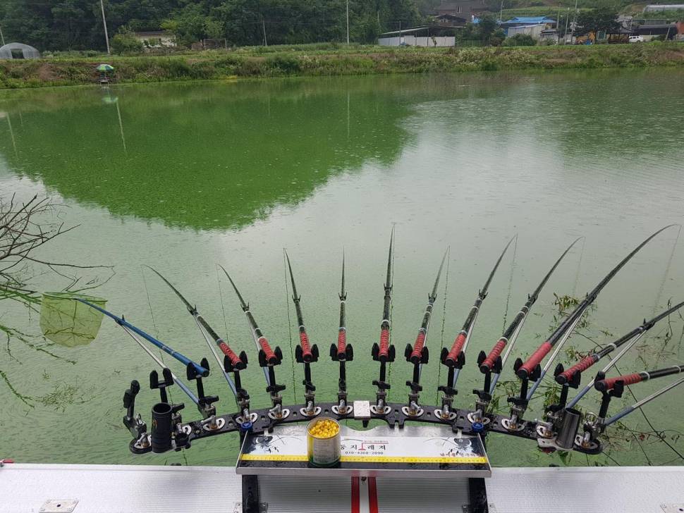 예천에서 시작합니다 (조황조행기 - 모바일간편조행)