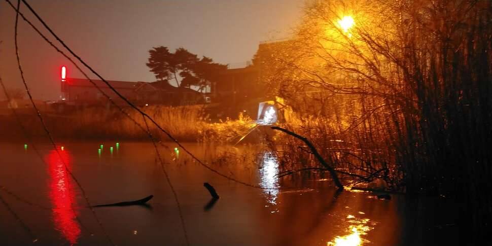 오리물닭를 낚아 봤습니다 (조황조행기 - 모바일간편조행)