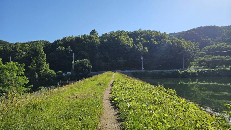 독조의 알싸함 (조황조행기 - 모바일간편조행)