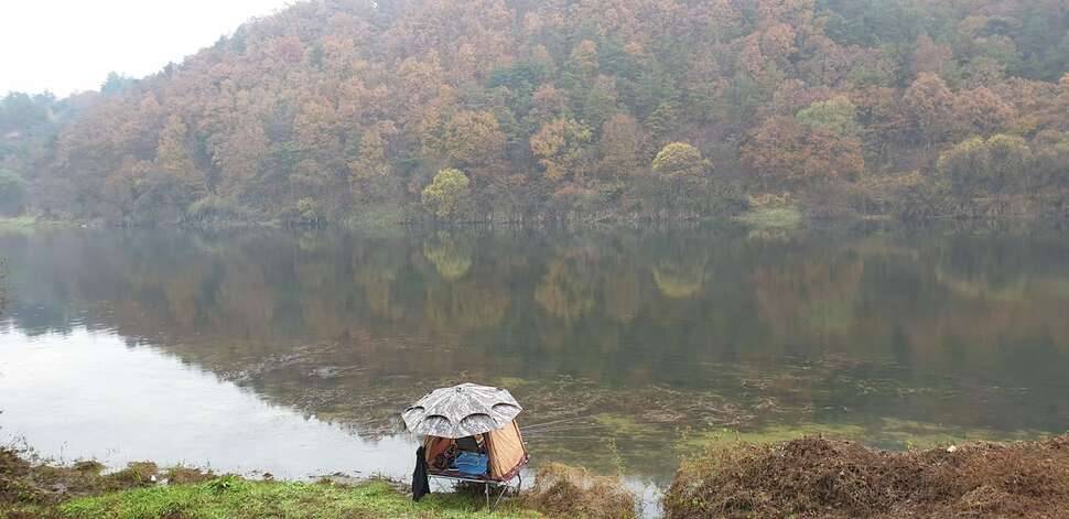 개인 납회 다녀 왔습니다 (조황조행기 - 모바일간편조행)