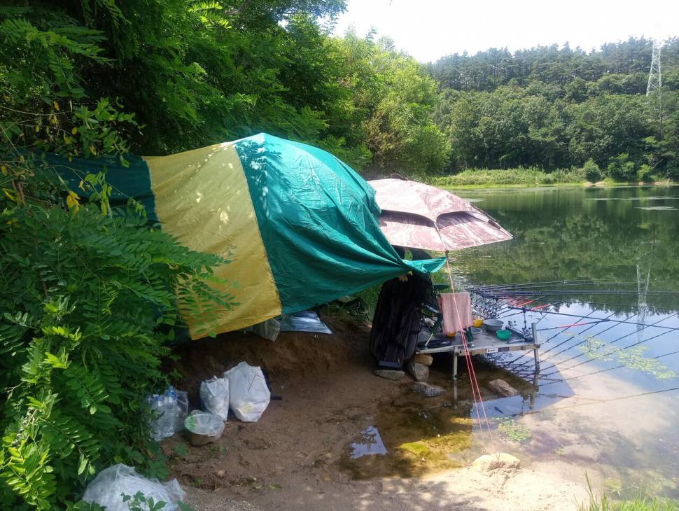 강원도소류지 (조황조행기 - 모바일간편조행)