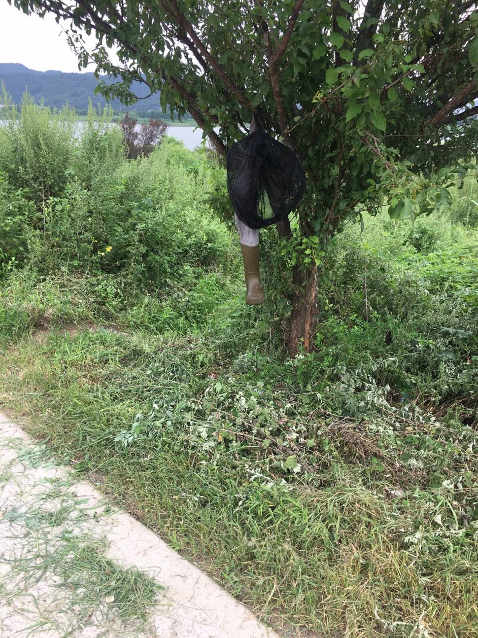 대구 화원둠벙 (조황조행기 - 모바일간편조행)