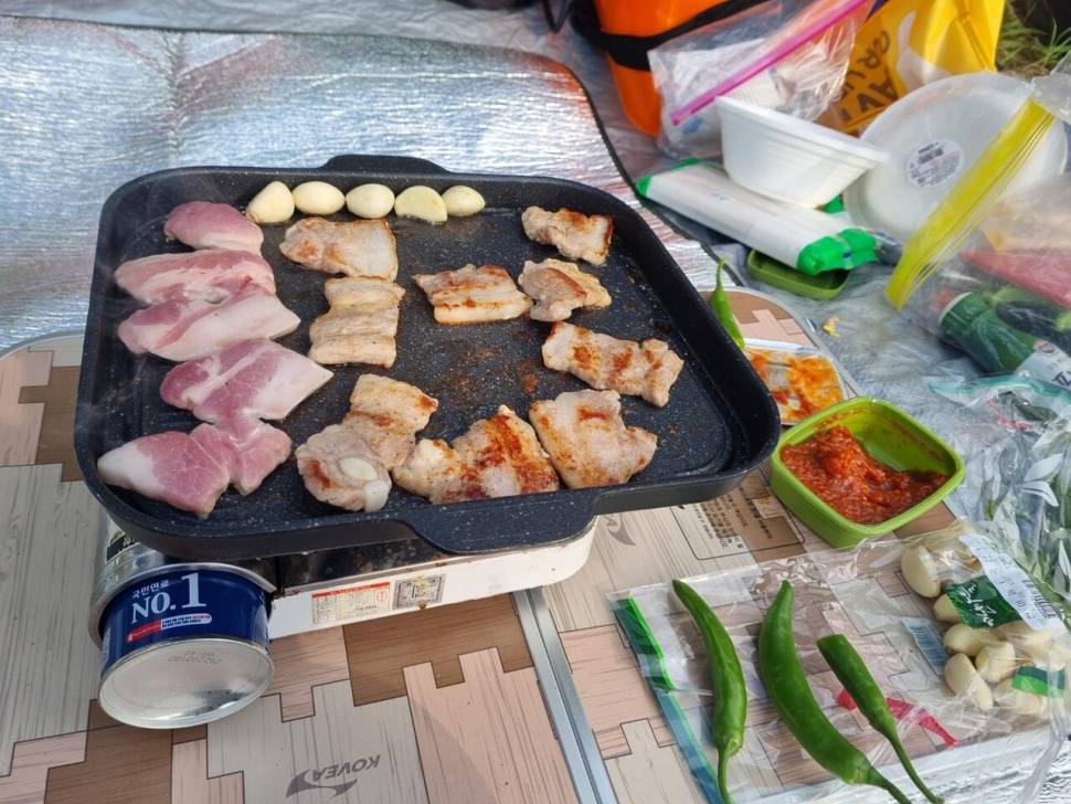 한방터 조행 (조황조행기 - 모바일간편조행)