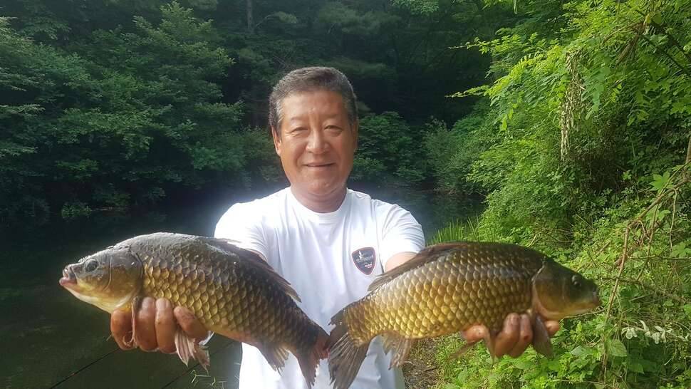 손맛을 그리워하며 (조황조행기 - 모바일간편조행)