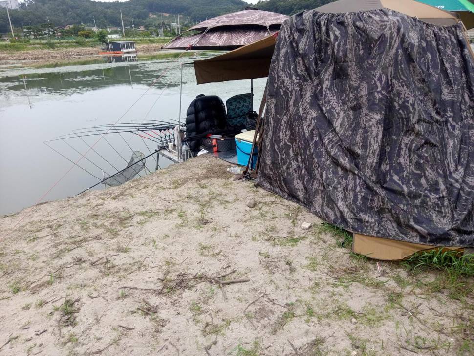 중형저수지에서 (조황조행기 - 모바일간편조행)