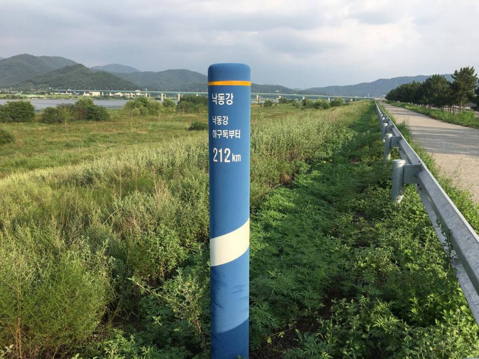 왜관 오평리 (조황조행기 - 모바일간편조행)