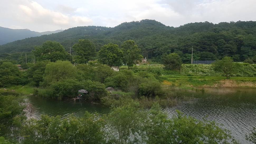 서산 계곡지에서 (조황조행기 - 모바일간편조행)