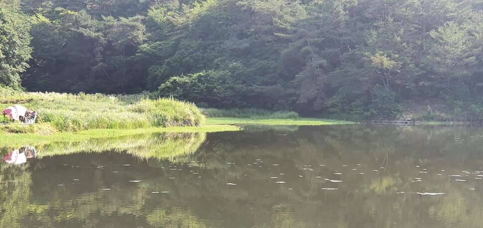 아침장 봅니다 (조황조행기 - 모바일간편조행)