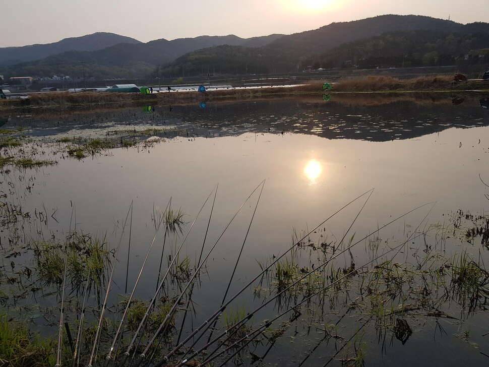 칠곡군 연밭 소류지 다녀왔습니다 (조황조행기 - 모바일간편조행)