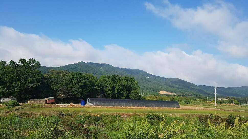서산 대물터 (조황조행기 - 모바일간편조행)