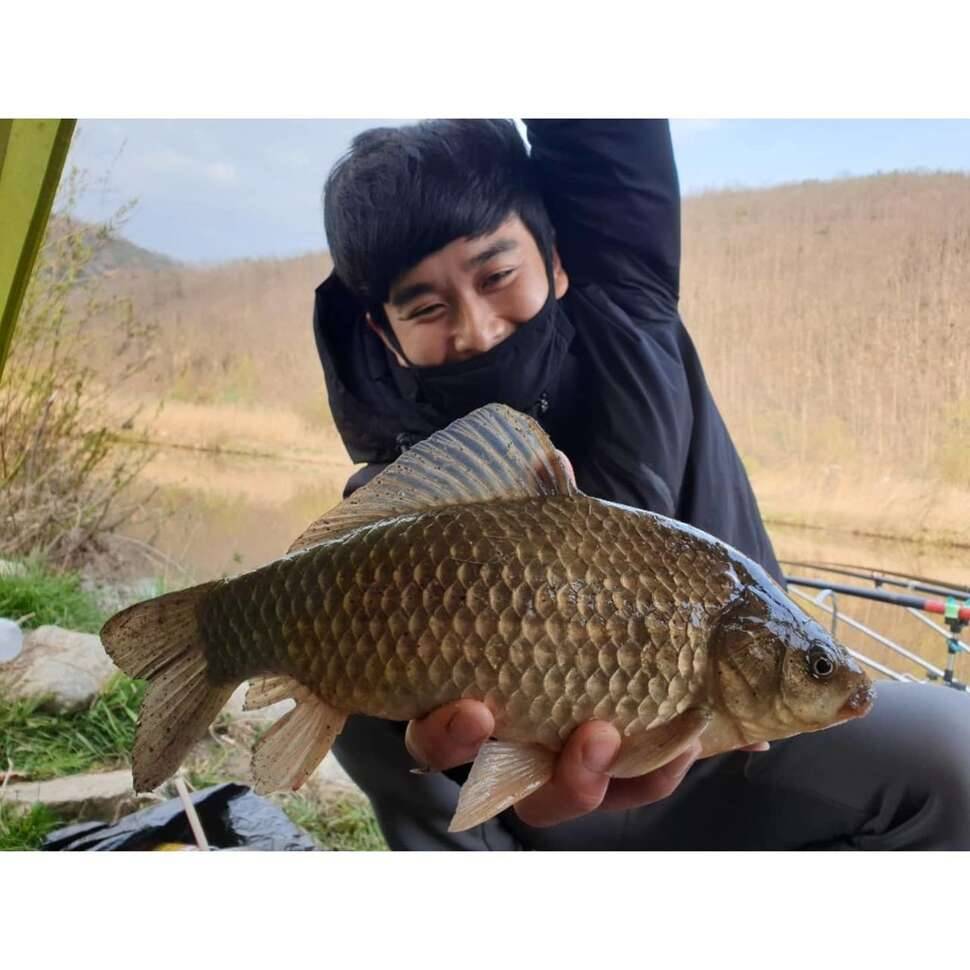 군위 조행기 입니다 (조황조행기 - 모바일간편조행)