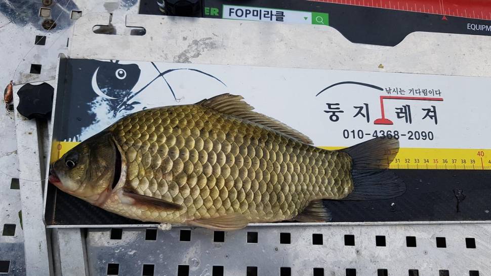 서산 계곡지에서 (조황조행기 - 모바일간편조행)