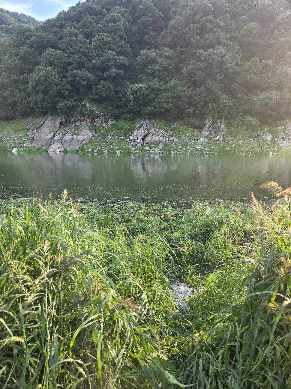 오름수위의 명서낚시터 (조황조행기 - 모바일간편조행)