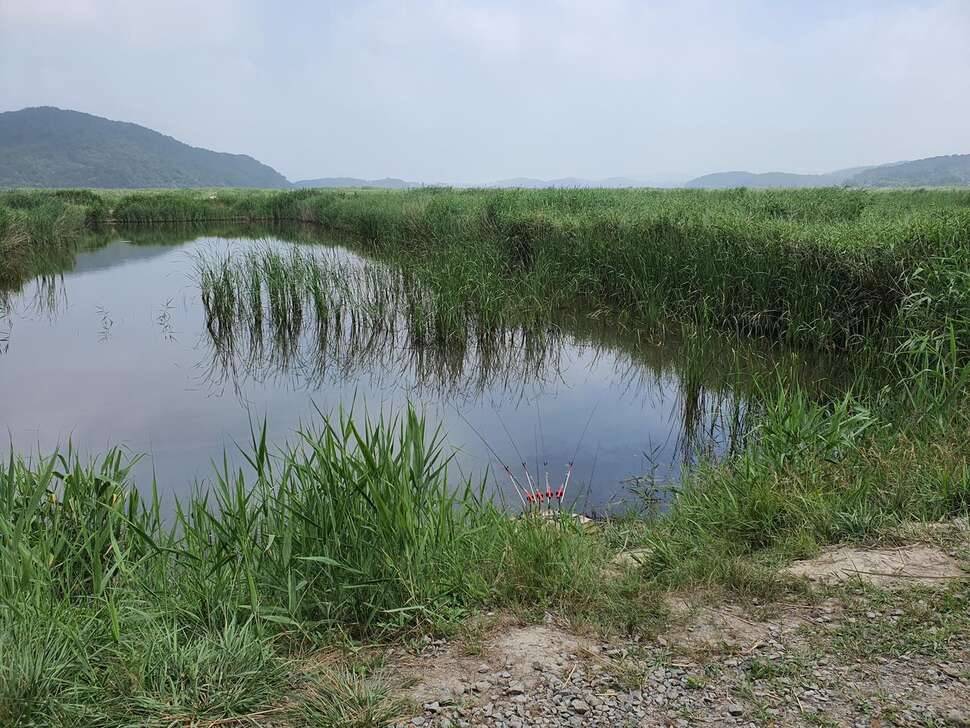 보령에서 (조황조행기 - 모바일간편조행)