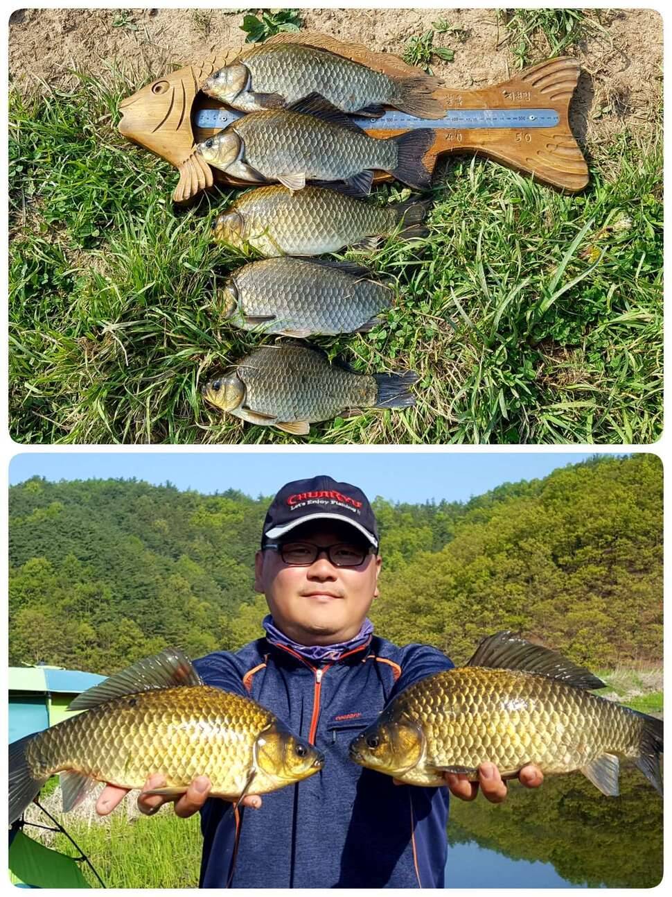 내 고향 의성권 결과물입니다 (조황조행기 - 모바일간편조행)