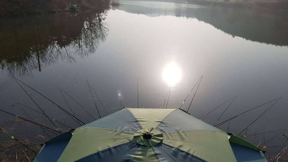 내 고향 의성권 시작합니다 (조황조행기 - 모바일간편조행)