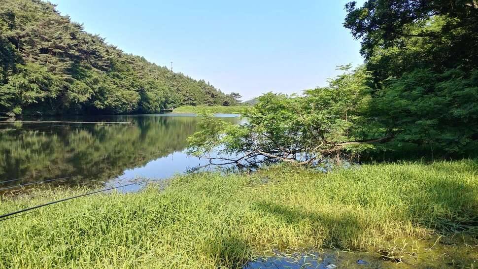 경남권 소류지 (조황조행기 - 모바일간편조행)