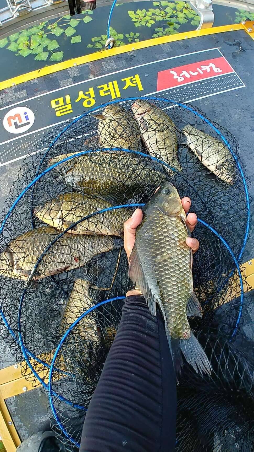 이것도 막 우겨보고 싶은데ㅋ (조황조행기 - 모바일간편조행)