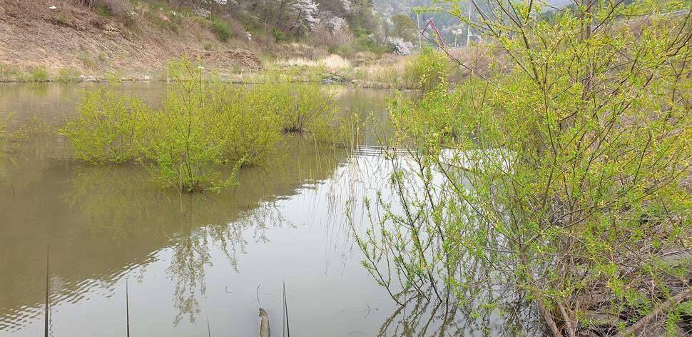 충북권 계곡지 (조황조행기 - 모바일간편조행)
