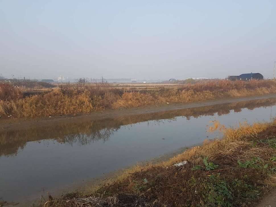 동내한바퀴 (조황조행기 - 모바일간편조행)