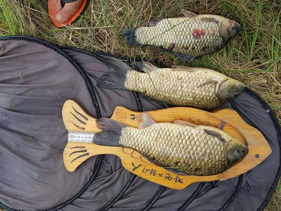 오랜만에 수중전 (조황조행기 - 모바일간편조행)