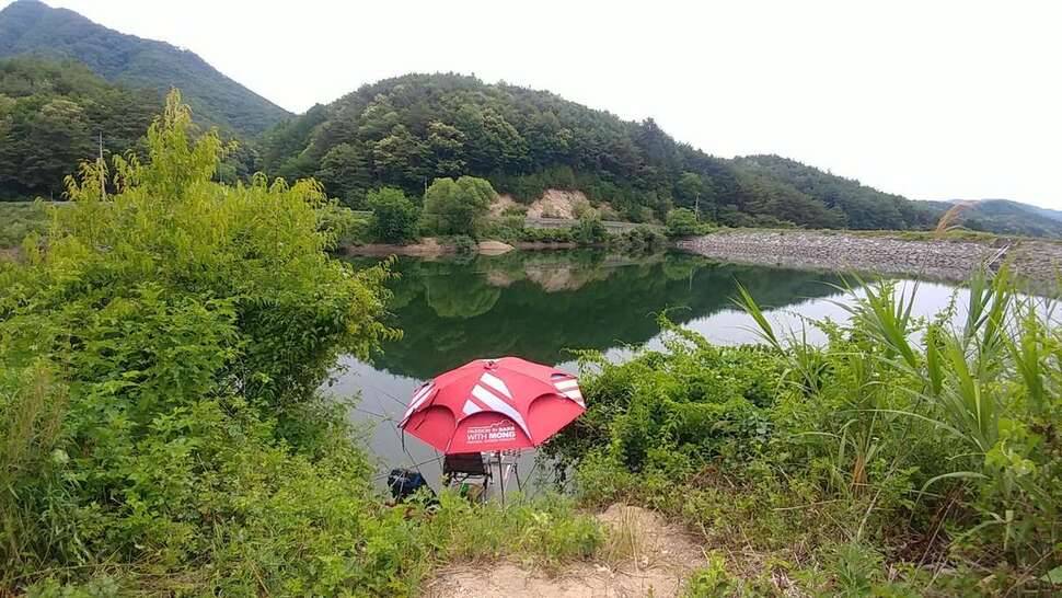 강원도래요 (조황조행기 - 모바일간편조행)