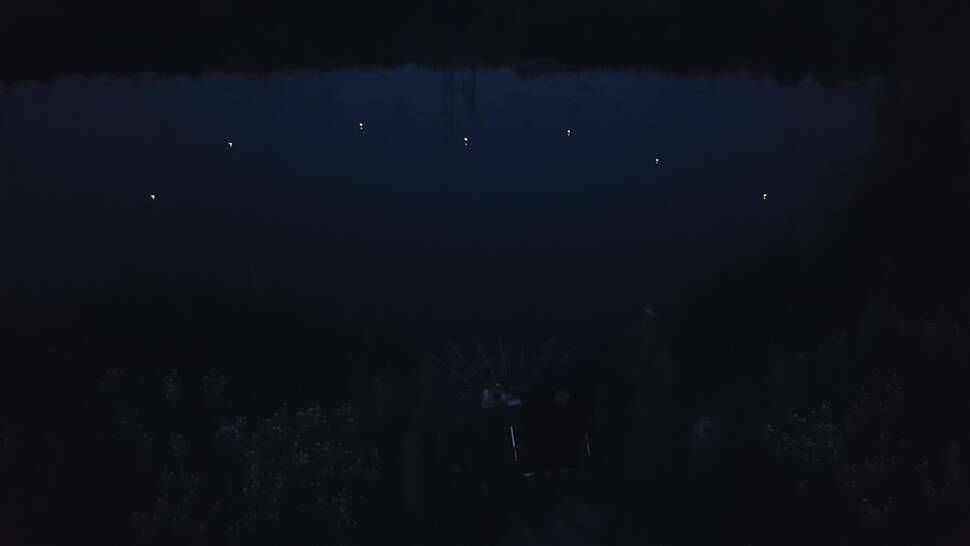 라복리수로밤낚시 (조황조행기 - 모바일간편조행)