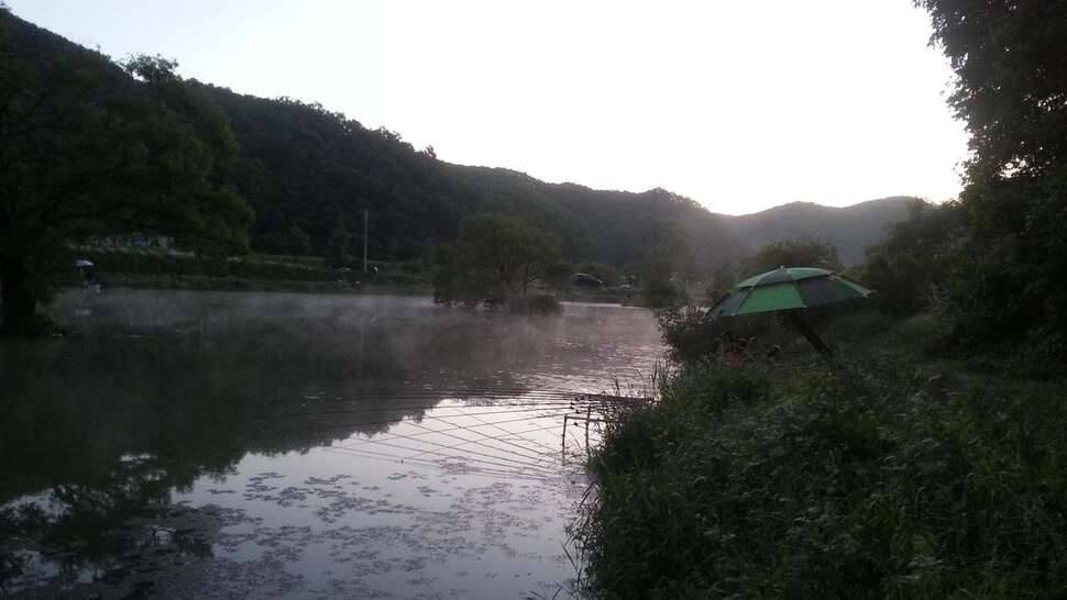 원남지 들어왔습니다 (조황조행기 - 모바일간편조행)