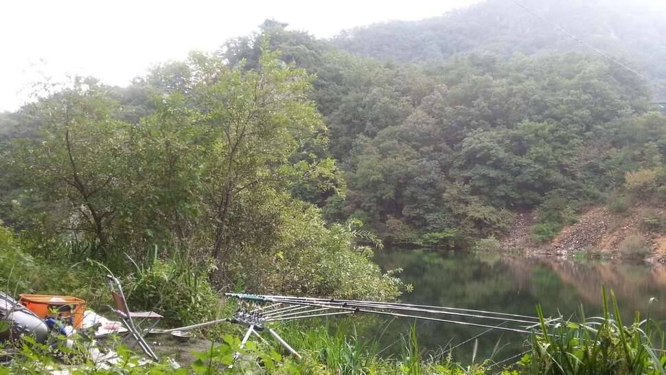 오짜를 원해요 ♡ (조황조행기 - 모바일간편조행)