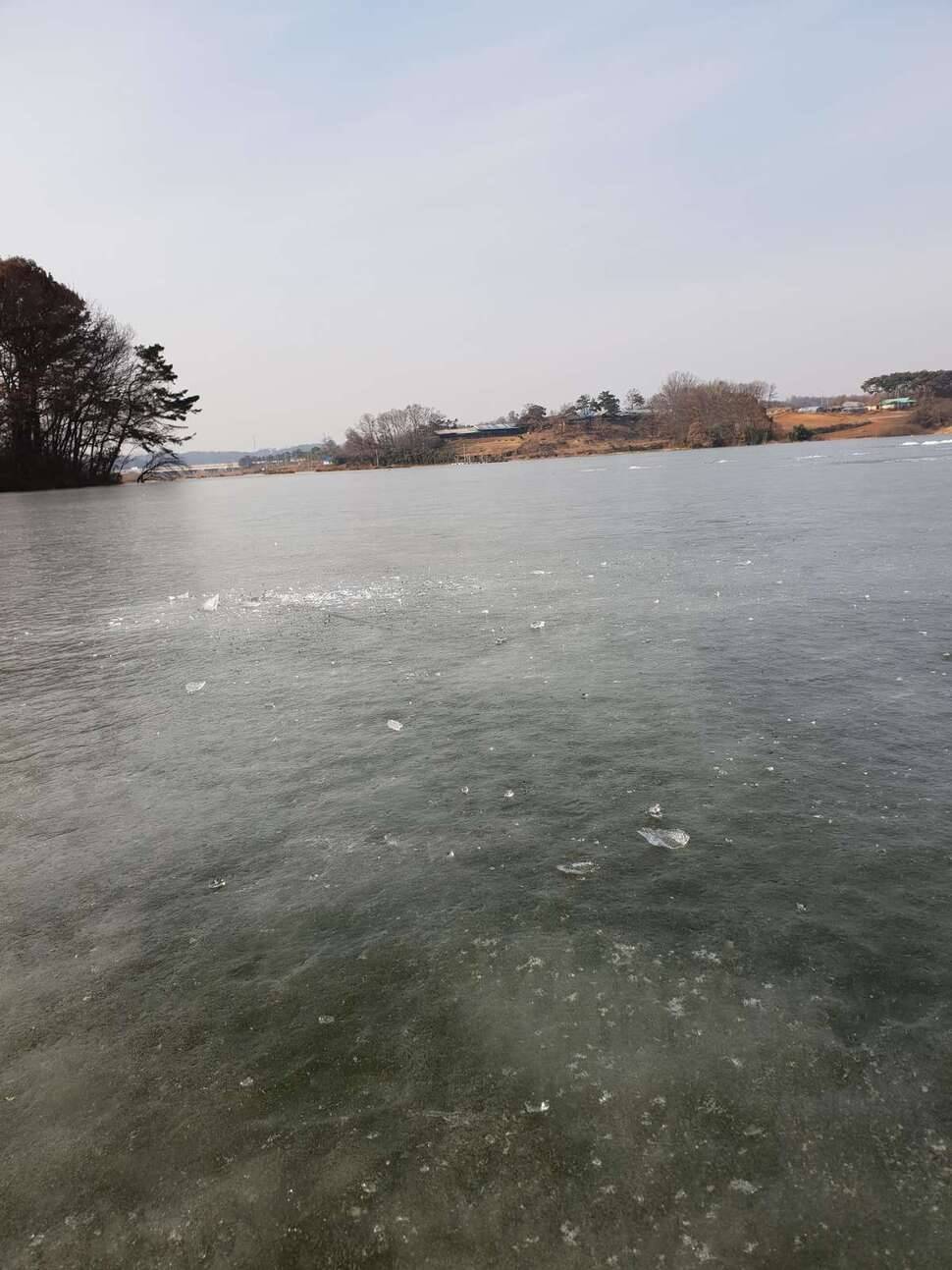 앤디낚시스토리얼음낚시 (조황조행기 - 모바일간편조행)