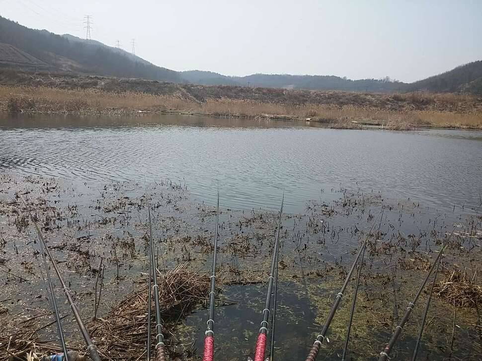 신양수로 첫 월척 (조황조행기 - 모바일간편조행)